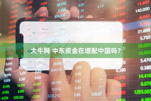 大牛网 中东资金在增配中国吗？